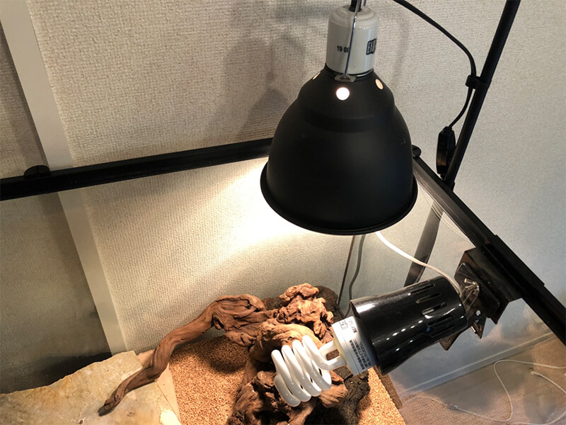 最大74％オフ！ フロアランプスタンド爬虫類用の調整可能なランプスタンド 耐久性のあるランディングライトランプスタンド爬虫類ランプスタンド 亀の爬虫類用の取り外し可能なデザイン limoroot.com