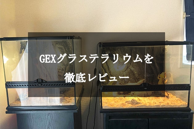 GEX製グラステラリウムの特徴を解説｜機能や使い勝手を徹底レビュー 