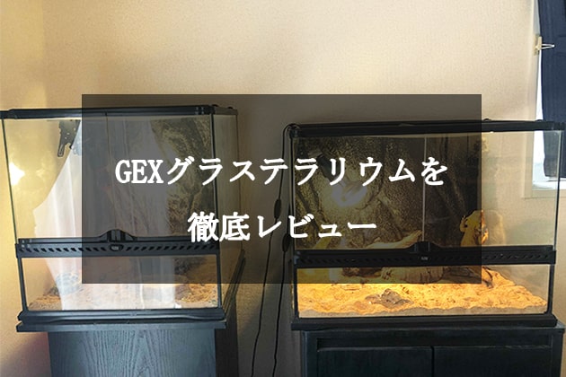 GEX製グラステラリウムの特徴を解説｜機能や使い勝手を徹底レビュー